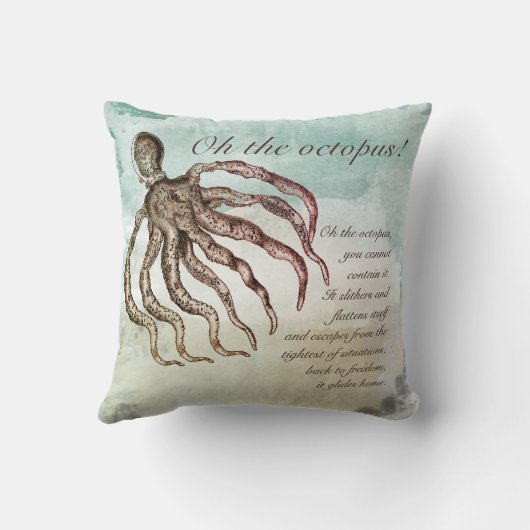 沿岸ビーチハウスタコ引用文 クッション (裏面)