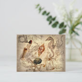 沿岸ビーチヒトデの貝殻の航海の地図 ポストカード (スタンド正面)