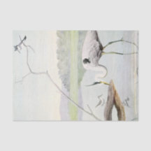 沿岸ヘロン、カワセミ及びサンパイパーの水色