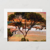 「沿岸ホップ:油の海岸のカンガルー」 ポストカード (正面/裏面)