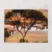 「沿岸ホップ:油の海岸のカンガルー」 ポストカード (正面)