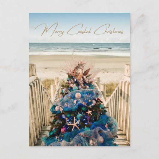 沿岸メリーのクリスマス熱帯ビーチと木 シーズンポストカード (正面)