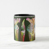 沿岸嚢状葉植物のグループ マグカップ (中央)