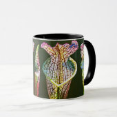 沿岸嚢状葉植物のグループ マグカップ (正面右)