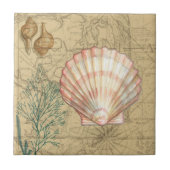 沿岸地図コラージュ タイル (正面)