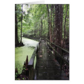 沿岸埋蔵量 (正面)