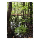 沿岸埋蔵量 (正面)