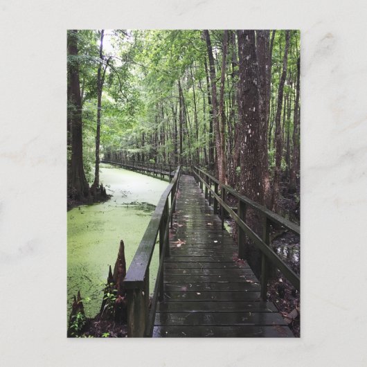 沿岸埋蔵量 ポストカード (正面)