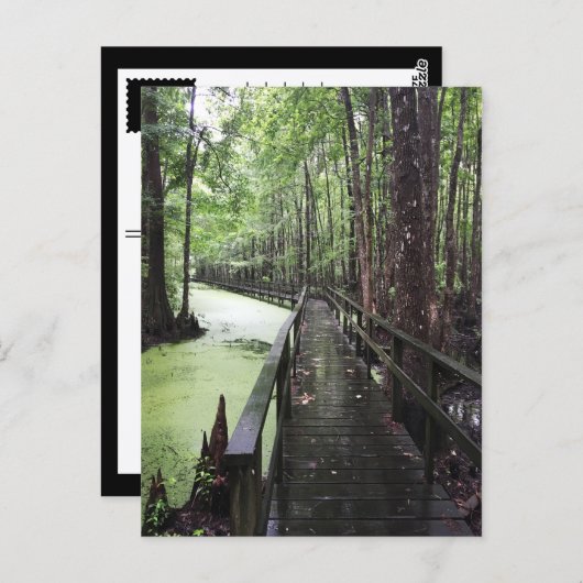 沿岸埋蔵量 ポストカード (正面/裏面)