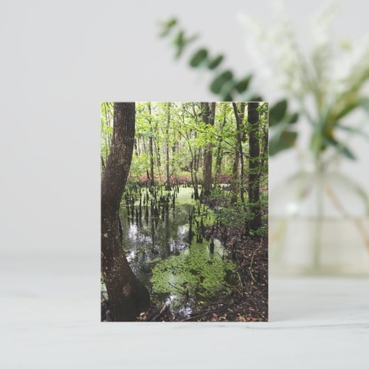 沿岸埋蔵量 ポストカード (スタンド正面)