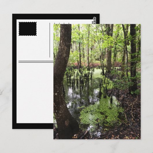 沿岸埋蔵量 ポストカード (正面/裏面)