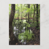 沿岸埋蔵量 ポストカード (正面)