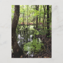 沿岸埋蔵量 ポストカード