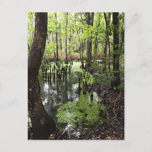 沿岸埋蔵量 ポストカード (正面)