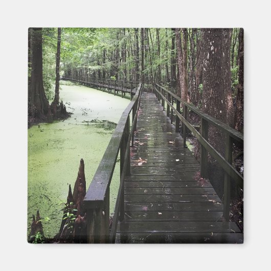 沿岸埋蔵量 マグネット (正面)