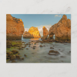 沿岸夢 ポストカード