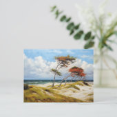 沿岸威厳のあるの守護者:風で彫刻されたブナTr シーズンポストカード (スタンド正面)