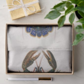 沿岸性海鳥類の水色 薄葉紙 (ギフト)