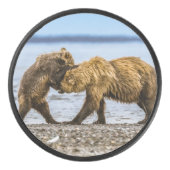 沿岸性褐色熊 アイスホッケーパック (正面)
