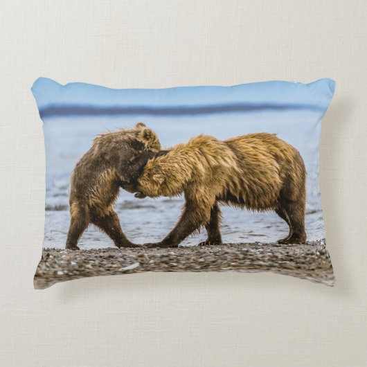 沿岸性褐色熊 アクセントクッション (正面)