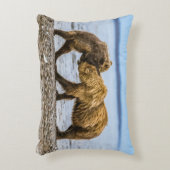 沿岸性褐色熊 アクセントクッション (正面(垂直))