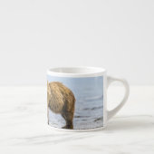 沿岸性褐色熊 エスプレッソカップ (右)