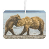 沿岸性褐色熊 カーエアーフレッシュナー (裏面)