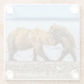 沿岸性褐色熊 ガラスコースター (裏面)