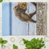 沿岸性褐色熊 キッチンタオル (折り畳み)