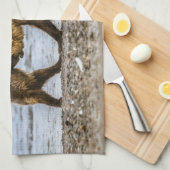 沿岸性褐色熊 キッチンタオル (四つ折り)