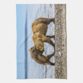 沿岸性褐色熊 キッチンタオル (縦)