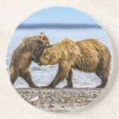 沿岸性褐色熊 コースター (正面)