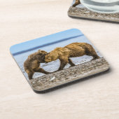 沿岸性褐色熊 コースター (左側)