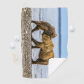 沿岸性褐色熊 ゴルフタオル (インサイチュ)