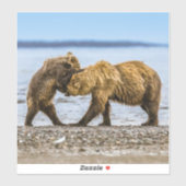 沿岸性褐色熊 シール (シート)