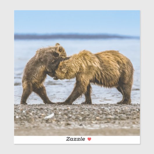 沿岸性褐色熊 シール (シート)