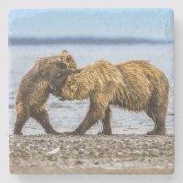 沿岸性褐色熊 ストーンコースター