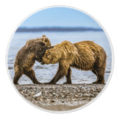 沿岸性褐色熊 セラミックノブ (正面)