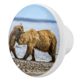 沿岸性褐色熊 セラミックノブ