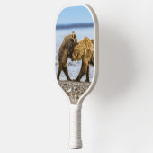 沿岸性褐色熊 ピックルボールラケット (左)