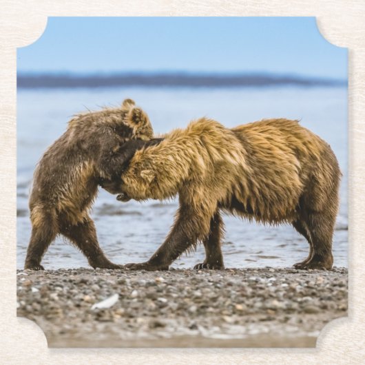 沿岸性褐色熊 ペーパーコースター (正面)