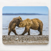 沿岸性褐色熊 マウスパッド (正面)