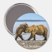沿岸性褐色熊 マグネット (正面/裏面)