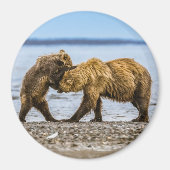 沿岸性褐色熊 マグネット (正面)