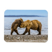 沿岸性褐色熊 マグネット (横)