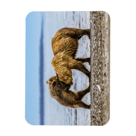 沿岸性褐色熊 マグネット (縦)