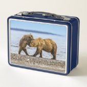 沿岸性褐色熊 メタルランチボックス (裏面)