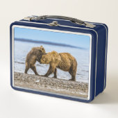 沿岸性褐色熊 メタルランチボックス (正面)