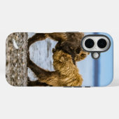 沿岸性褐色熊 Case-Mate iPhoneケース (裏面 (横))