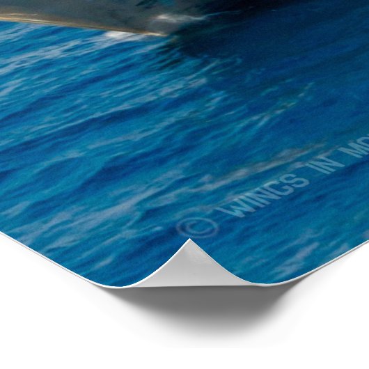 沿岸戦闘艦 – LCS-4 ポスター (角)